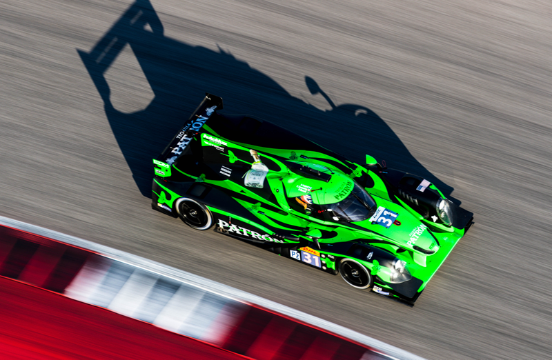 ESM’s lovely bright green may be a safety feature. Photo credit: Kurt Bradley